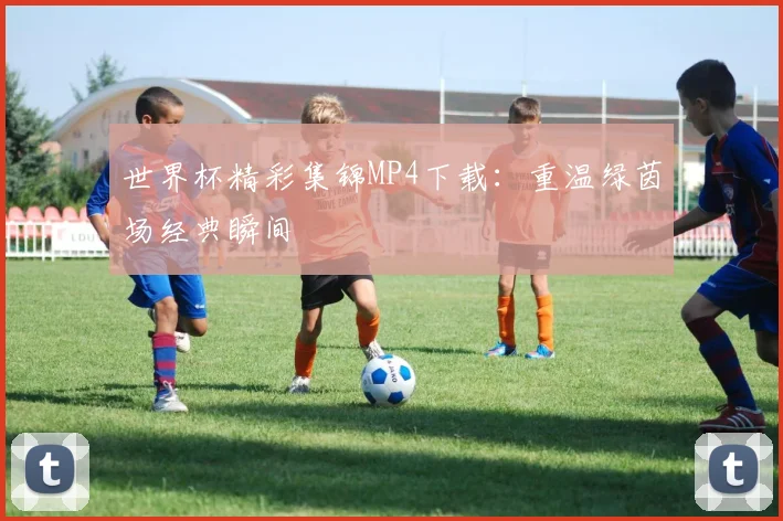 世界杯精彩集锦MP4下载:重温绿茵场经典瞬间
